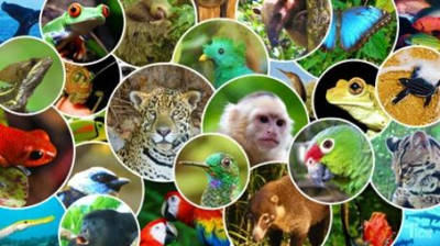 Importancia, manejo y conservación de flora y fauna